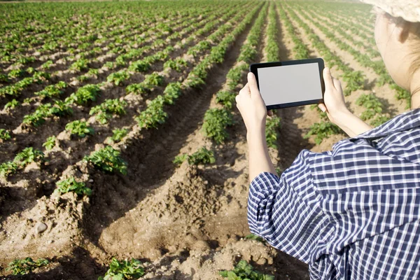 Tarım alanında dijital tablet kullanan bir tarımcı.