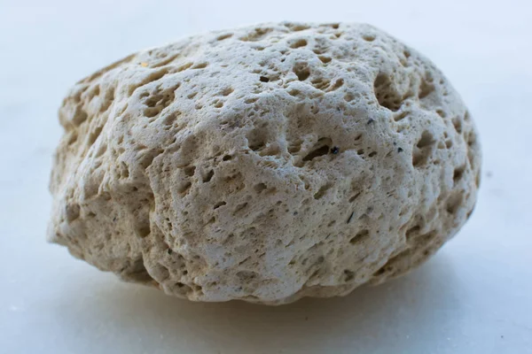 Λευκό Πωρόλιθο Φυσικό Θαλασσινό Πέτρα — Φωτογραφία Αρχείου