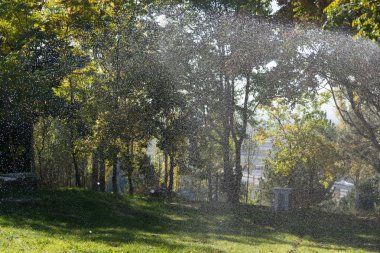 çim yağmur sistemiyle sulanan. Suni yağmur. havadaki su parçacıkları