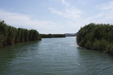 Sazlık Nehri arasında yüzmek