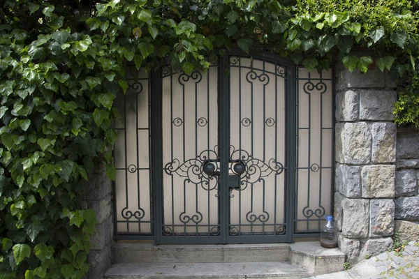 Iron gate covered with ivy. Big house, big gate