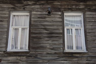 İki pencere arasında baca üzerinde güvercin