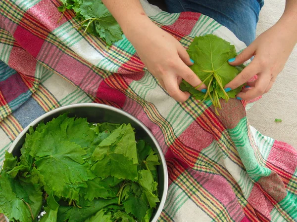 Preparación de hojas de vid en conserva —  Fotos de Stock