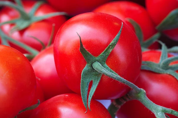 Tomato — Stock Image Tomato Royalty Free Stock Images