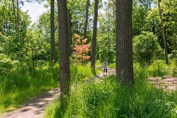 Girl Walks Forest Path Red Dried Pine — Stock Photo, Image