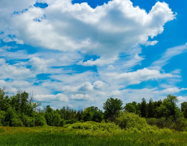 在一个温暖的夏日 白云漂浮在一个绿色 不平坦的田野上 — 图库照片