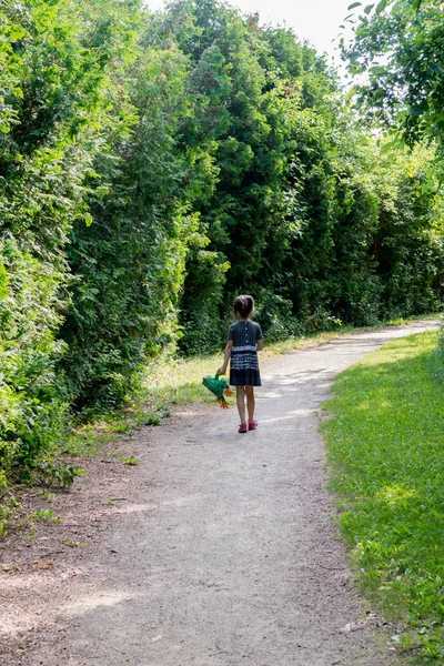 Una Bambina Con Giocattolo Rana Mano Sta Camminando Sentiero Nel — Foto Stock