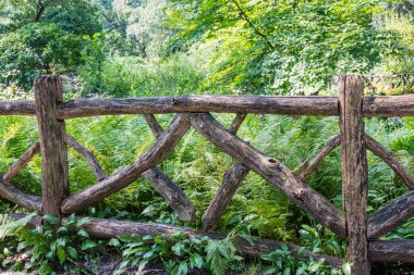 Ağaçlar sağlam, Boyutlanmış, kalın dalları üzerinden dekoratif çit
