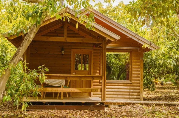 Small Log Cabin Built Plantation Avocado Trees — Stock Photo, Image