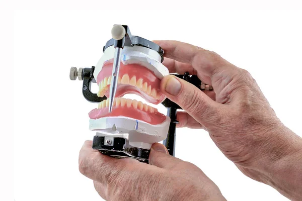 Technician Checks Fit Dentures Attached Special Fixture — Zdjęcie stockowe