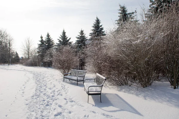Két Havas Padok Áll Egyedül Hóban Kerti Ösvény Ban Park — Stock Fotó
