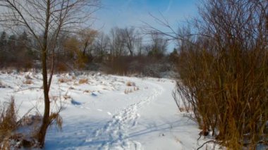 Dar bir karla kaplı yol çıkış ormandan gelen insanlar ve hayvanlar birçok izleri ile kaplı