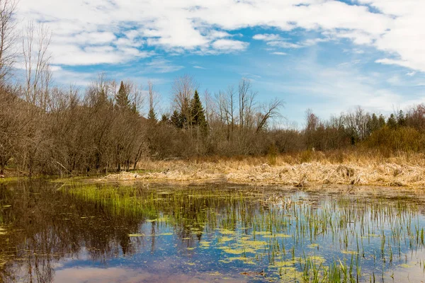 De sneeuw gesmolten en het water overstroomde de laaglanden — Stockfoto