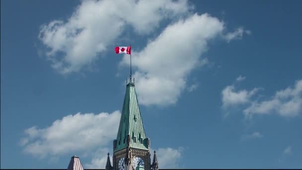 Houses Parliament Canada Stands Mountain Covered Trees River — Stock Video