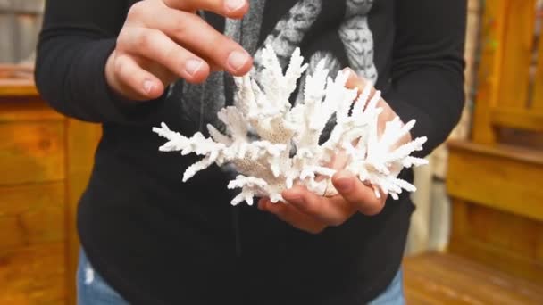 Girl Turns White Coral Her Hands Examines All Sides Buying — Stock Video