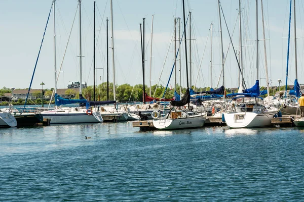 Masterna, som en skog, växte i helgen på sjön — Stockfoto