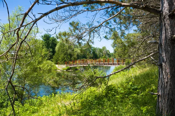 Bron över floden i parken — Stockfoto