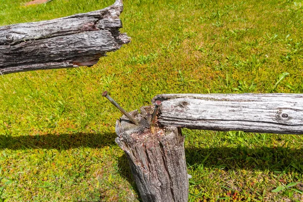 Çıkıntılı çiviler ile kırık kütük parçası — Stok fotoğraf
