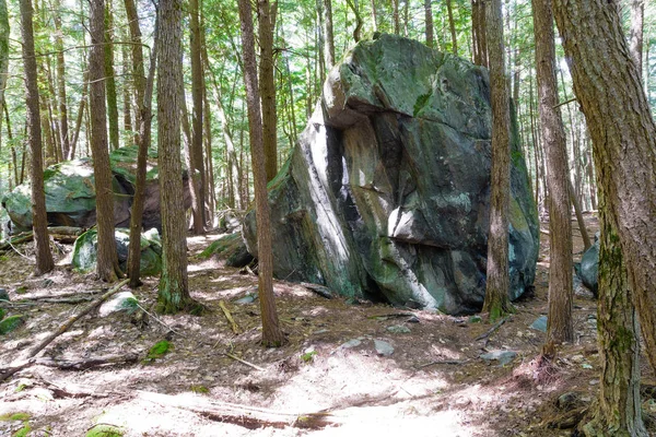 巨大な石のブロックは松林に横たわっている — ストック写真