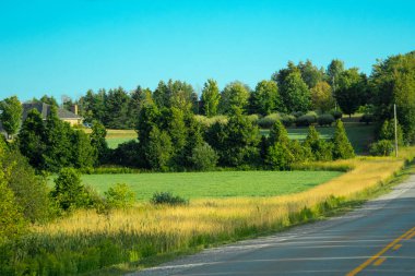 Özenle biçilmiş çiftlik alanı