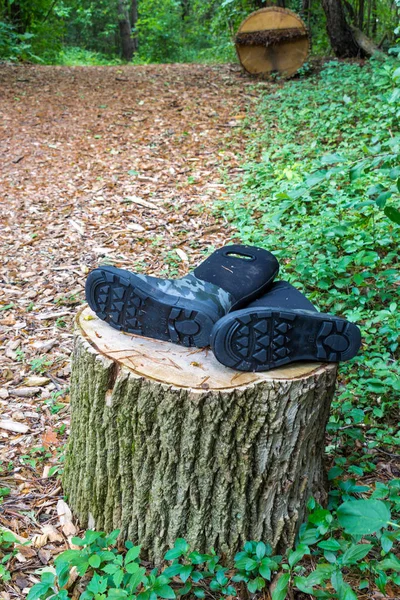 Kinder laarzen achtergelaten door champignon plukkers op een stomp in de voor — Stockfoto