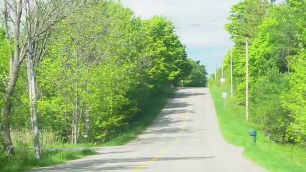 Estrada Que Leva Através Corredor Verde Árvores Com Fresco Ainda — Vídeo de Stock