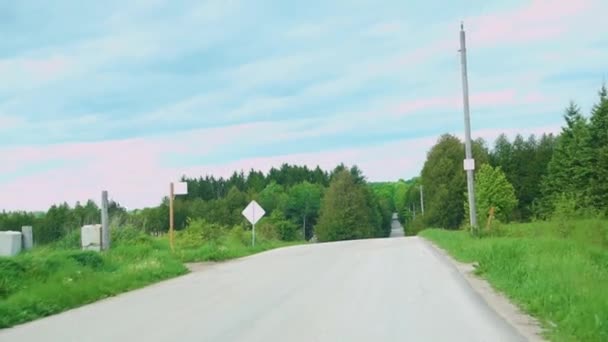 Straße Die Durch Einen Grünen Baumkorridor Mit Frischem Noch Nicht — Stockvideo