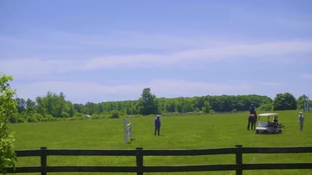 Summer Came Riders Brought Horses Large Green Meadow Outdoor Training — Stock Video