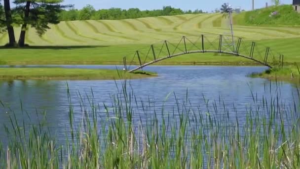 一个小池塘 在修剪过的田野和农场的建筑物附近 有座座头巨大的桥和风车 — 图库视频影像