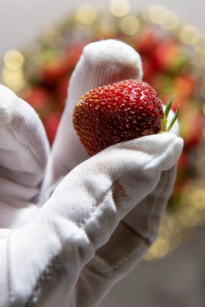 Hand Man White Glove Holds Ripe Strawberry Two Fingers — Stock Photo, Image