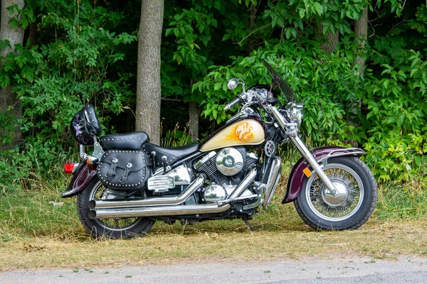 Motorcycle Photo Side Stands Forest Large Tree — Stock Photo, Image