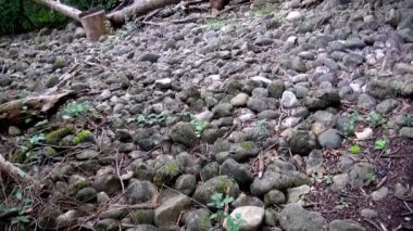 A place where a stream once flowed and washed-out boulders remain