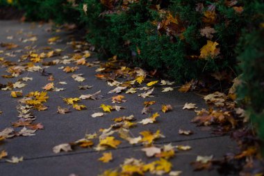 Bu, düşüş sırasındaki izinlerin resmi.