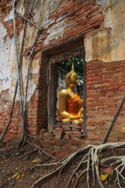 Tapınaktaki pencereden Buda