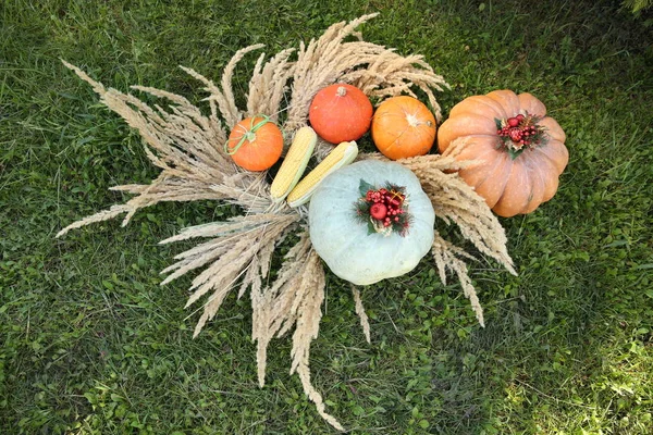 Pompoen Achtergrond Van Oren — Stockfoto