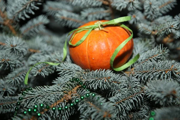 Kabak Halloween Noel Ağacı Üzerinde — Stok fotoğraf