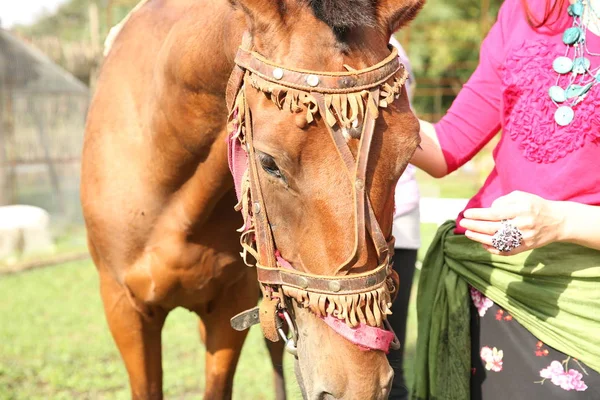 Belle Femme Gitane Avec Son Cheval Brun — Photo