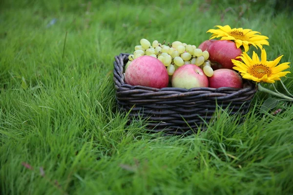 Apples Grapes Basket Green Grass — Stock Photo, Image