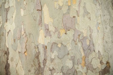 Ağaç kabuğu dokusuna kamuflaj