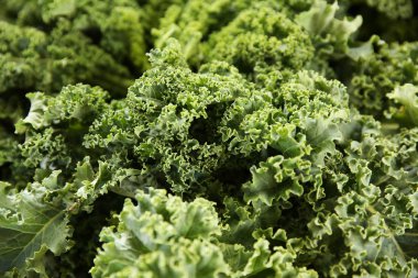 Taze lahana lahana salatası