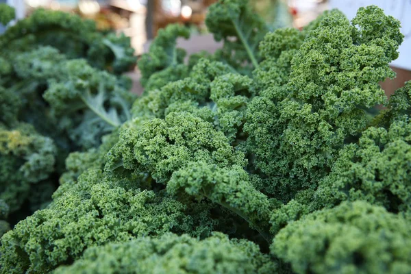 Frischer Grünkohl Für Salat — Stockfoto