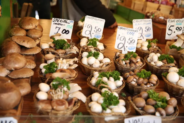 Funghi Sul Mercato — Foto Stock