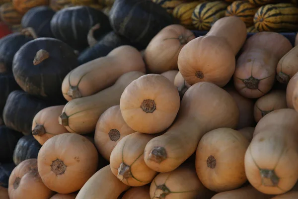 Pumpkins Sale Farmers Market — Stock Photo, Image