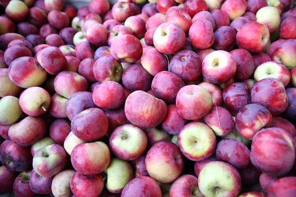 lots of red apples at the farmers market