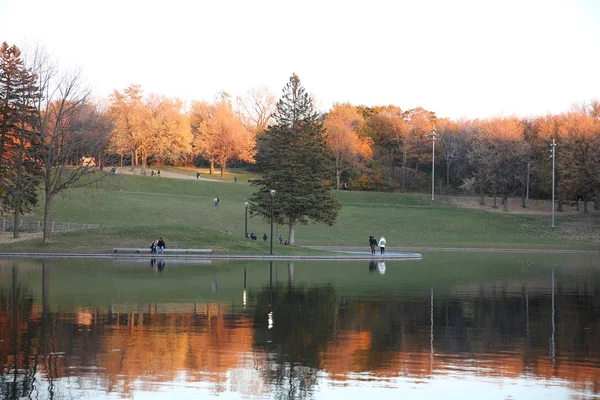 Reflexão Folhas Outono Vermelho Amarelo Árvores Superfície Água Lago Parque — Fotografia de Stock