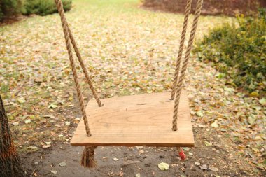 düşen akçaağaç yaprakları ile sonbahar parkta salıncak