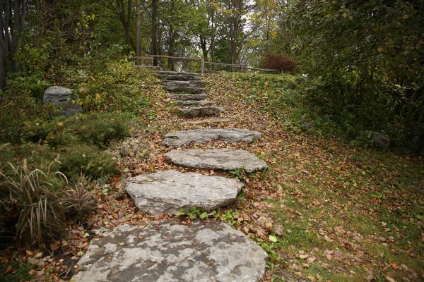 stone path covered in autumn foliage up in the forest