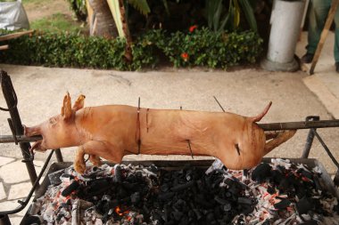 domuz domuz sürecinde şiş ızgara, kızartma.