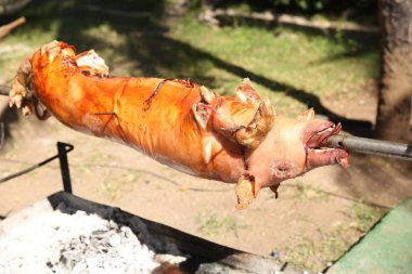 Piglet domuz kavurma ızgara, şiş üzerinde işlem karşılamak.