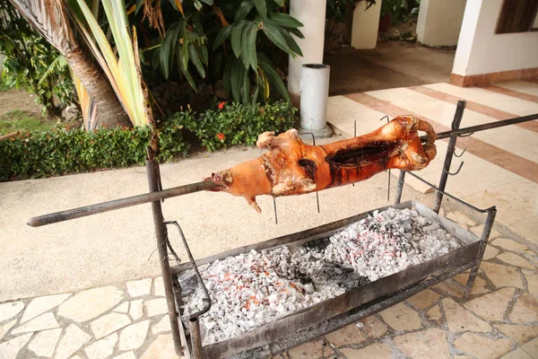 Cerdo Una Saliva Parrilla Cerdo Asado Proceso — Foto de Stock